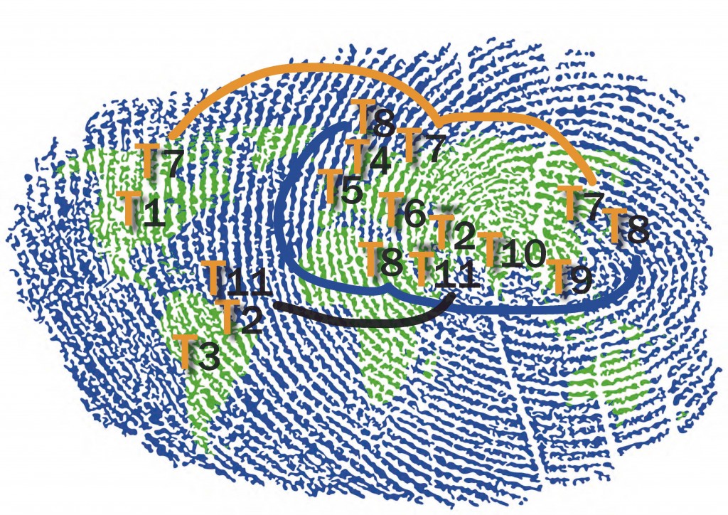 website_mapping_the_world_overview_lijnen